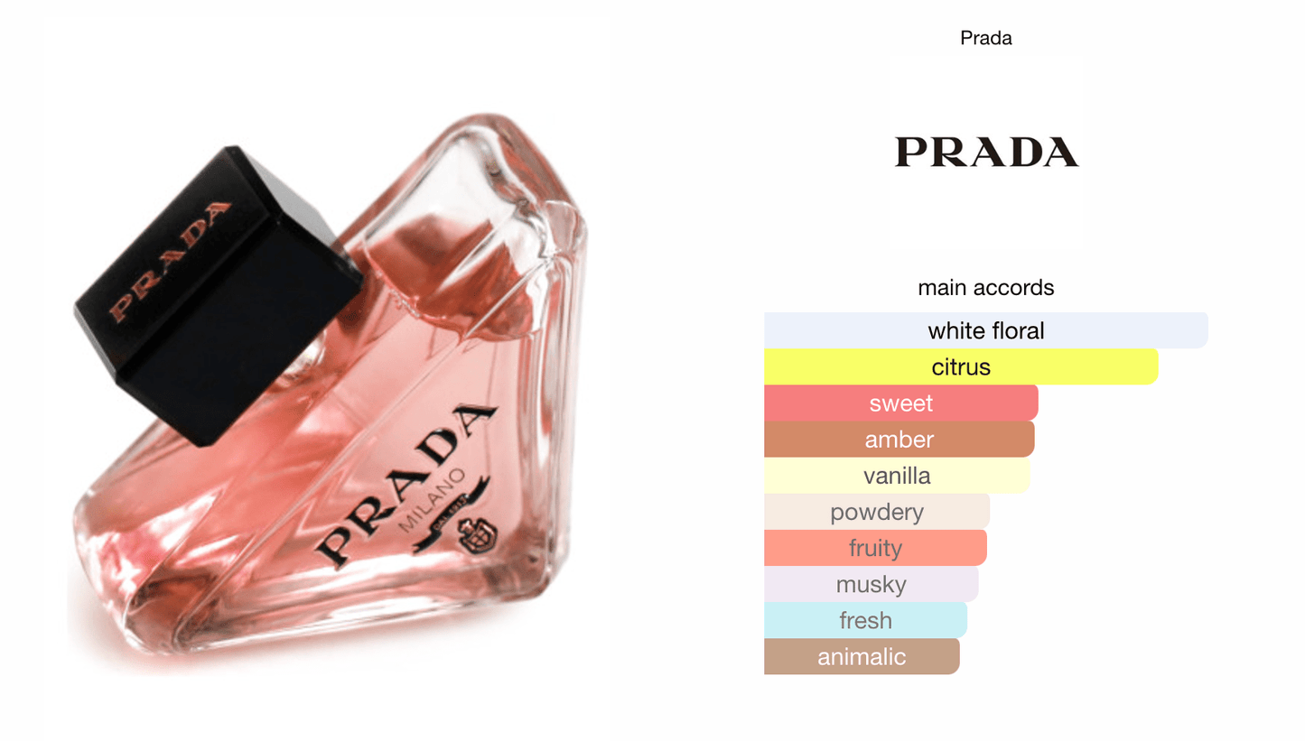 Prada Paradoxe EDP - Hidden Jewels Co.